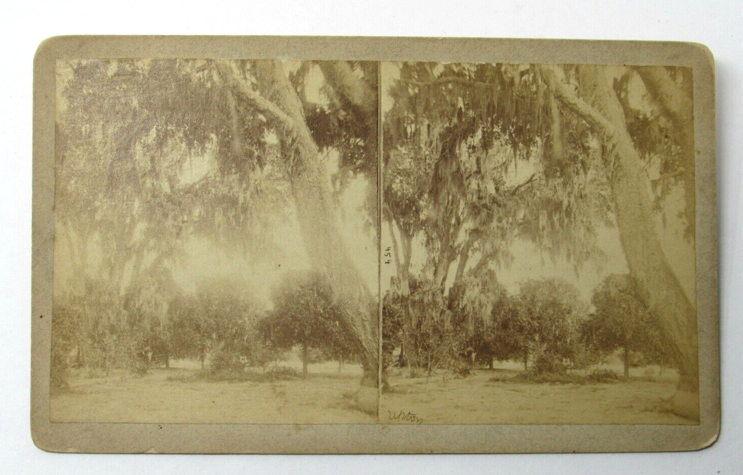 c1880 Stereoview Photo Harriet Beecher Stowe's Winter Residence Mandarin FL