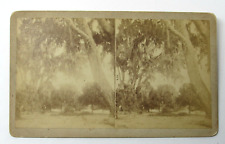 c1880 Stereoview Photo Harriet Beecher Stowe's Winter Residence Mandarin FL picture