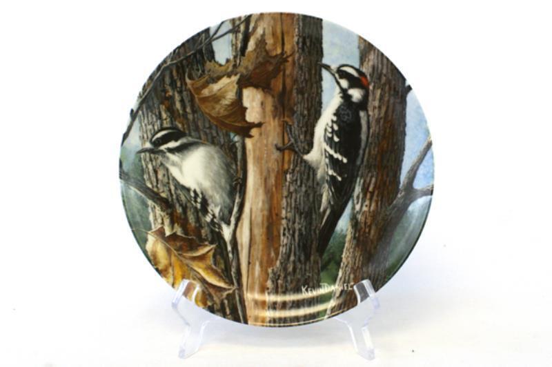 The Downy Woodpecker Plate Birds Of Your Garden Edwin Knowles Kevin Daniels 1987