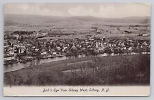 Bird's Eye View Sidney West NY Divided Back Postcard picture