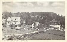 A View Of Homes On Terrace Avenue, Jeffersonville, New York NY 1918 picture