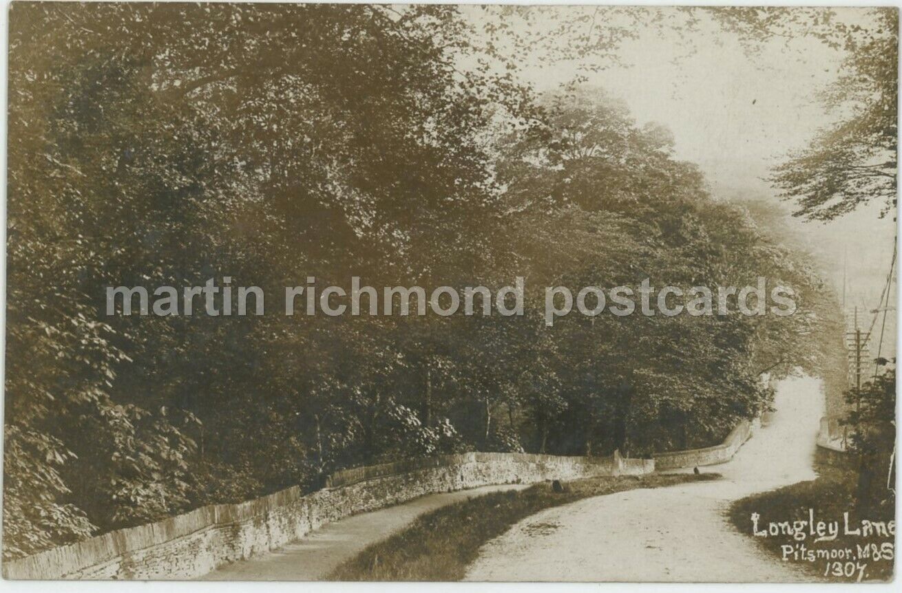 Longley Lane Pitsmoor Sheffield 1911 Real Photo Postcard, C016