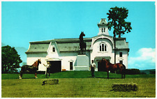 Postcard Chrome University of Vermont Morgan Horse Farm Weybridge, VT picture