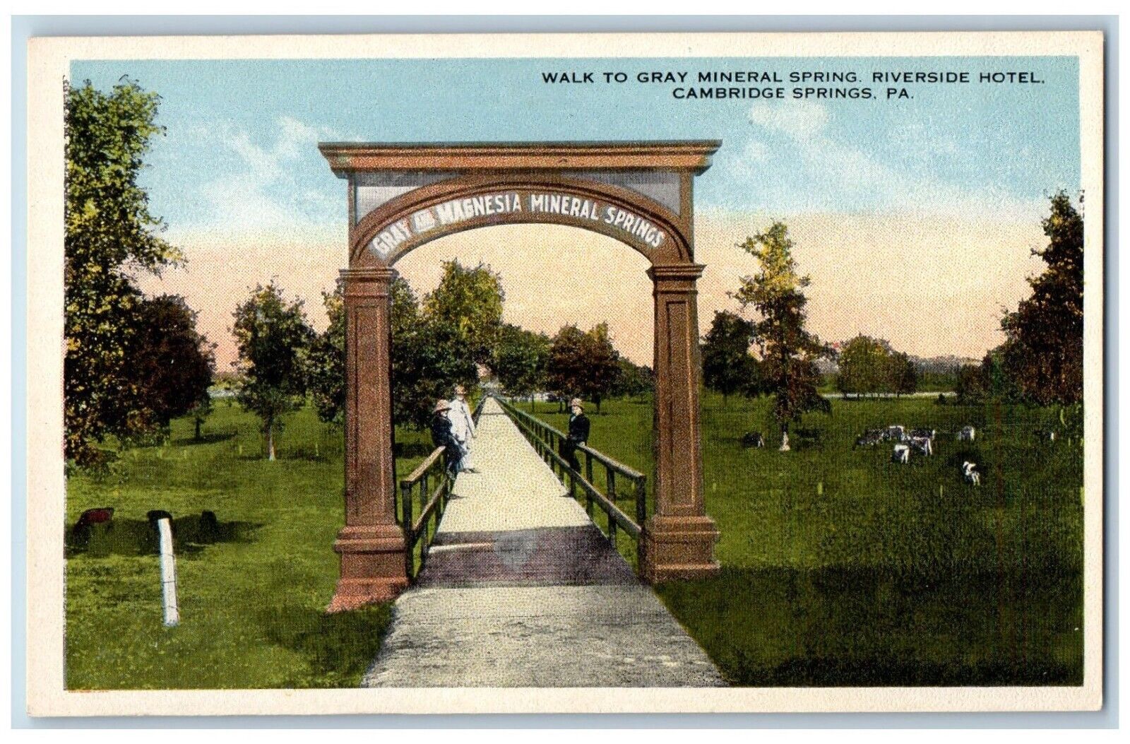 Cambridge Springs PA Postcard Walk To Gray Mineral Springs Riverside Hotel c1930