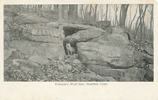 POMFRET CT - Putnam's Wolf Den showing Wolf At Den - udb (pre 1908) picture