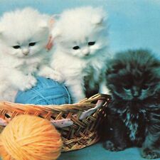 Kittens Yarn American Art Gallery Shelburne Museum Vermont VT Ephemera Postcard picture