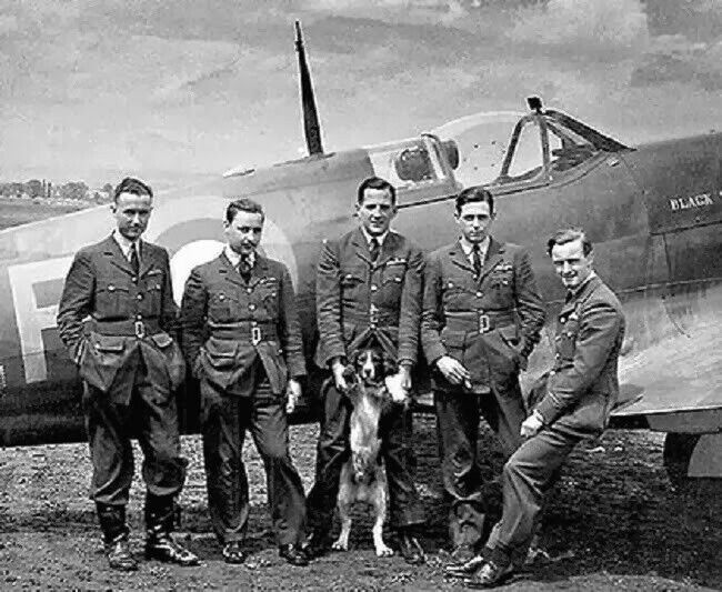 NEW 6 X 4 PHOTO WW2 RAF SPITFIRE BATTLE OF BRITAIN 29