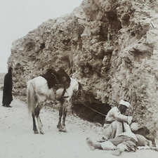 Palestine Road to Jericho Parable Good Samaritan Inn Horse Photo Stereoview A220 picture