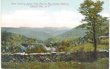 Catskill Mountains Pine Hill Big Indian Station 1910 NY  picture