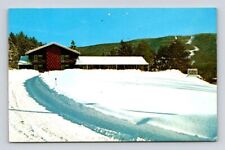 Londonderry Vermont Snowdon Motel Postcard picture