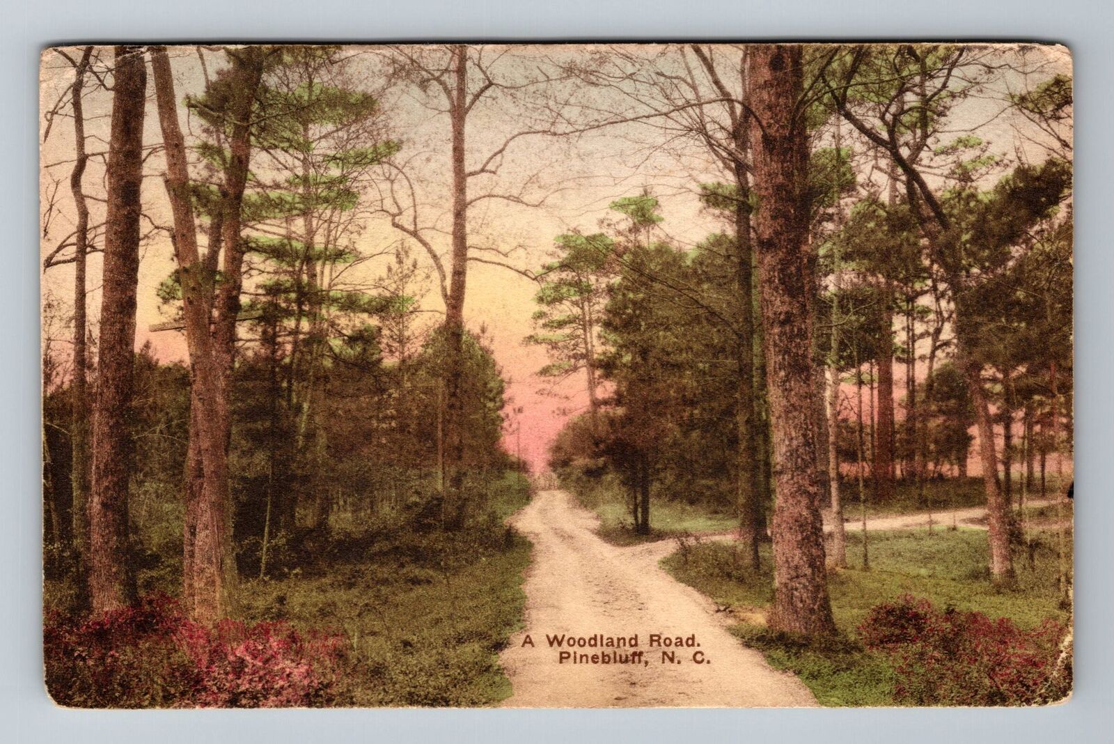 Pinebluff NC-North Carolina A Woodland Road Antique Vintage c1922 Postcard