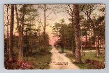 Pinebluff NC-North Carolina A Woodland Road Antique Vintage c1922 Postcard picture