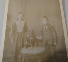 Children with Dog Winooski Vermont Cabinet Card Photo picture
