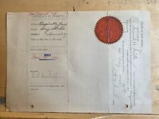1890 Certificate of Insanity from Overbrook Asylum / Essex County Hospital NJ  picture