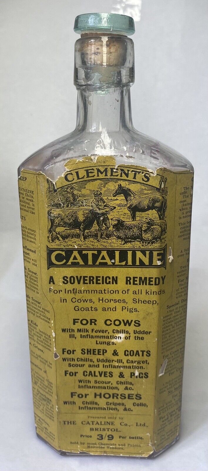 Labelled Bristol Veterinary Medicine Bottle, Cataline