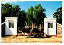 Highgate ostrich farm south oudtshoorn Africa postcard picture