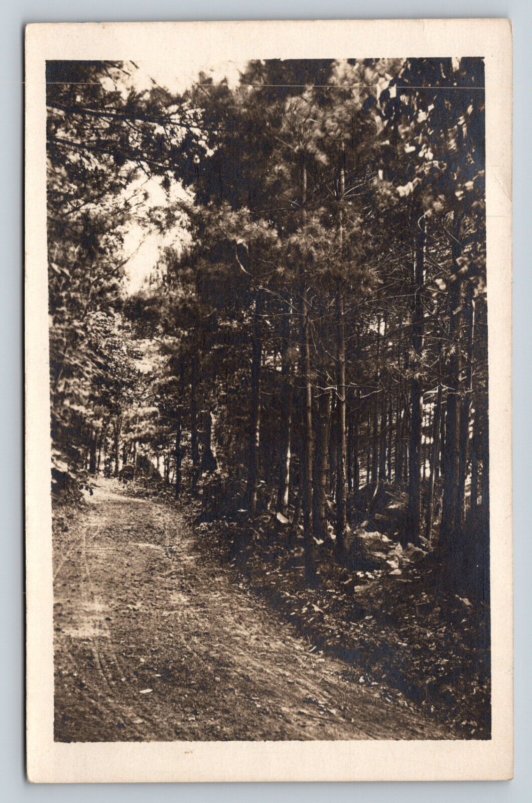 RPPC Dirt Woodland Road On Mt. Philo North FERRISBURGH Vermont VINTAGE Postcard