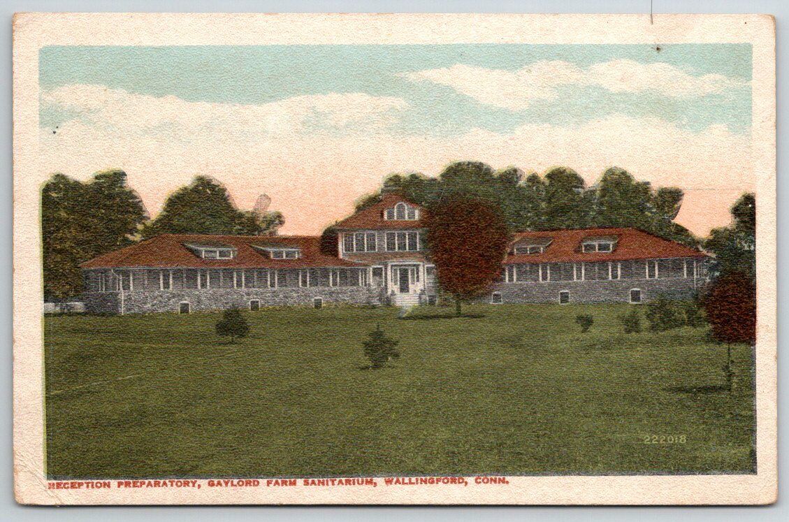 CT Connecticut Wallingford Gaylord Farm Sanitarium Vintage Postcard $A