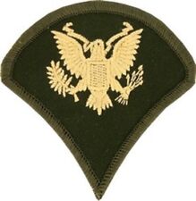 US ARMY SPECIALIST E-4 SPC SPC4 RANK PATCH ENLISTED DIRTY BIRD picture