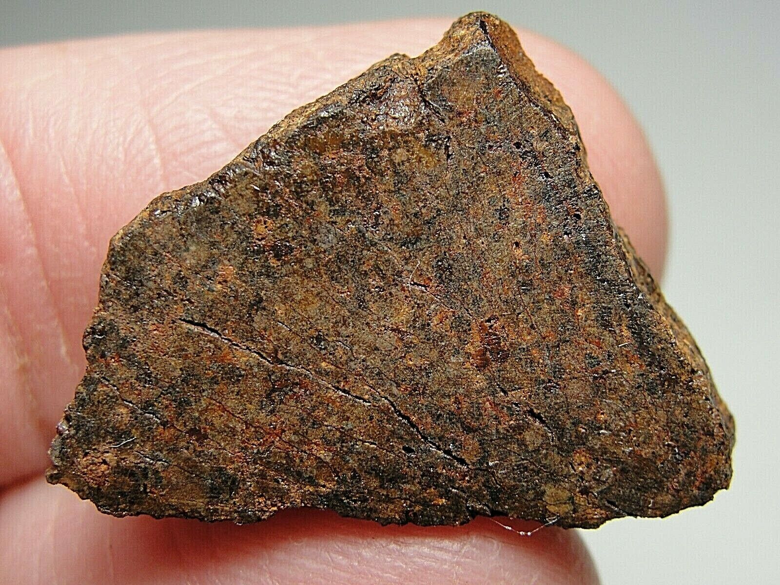Meteorite - SFT-3103 - 4.37g - EXCELLENT METEORITE SPECIMEN - SLICE / ENDCUT