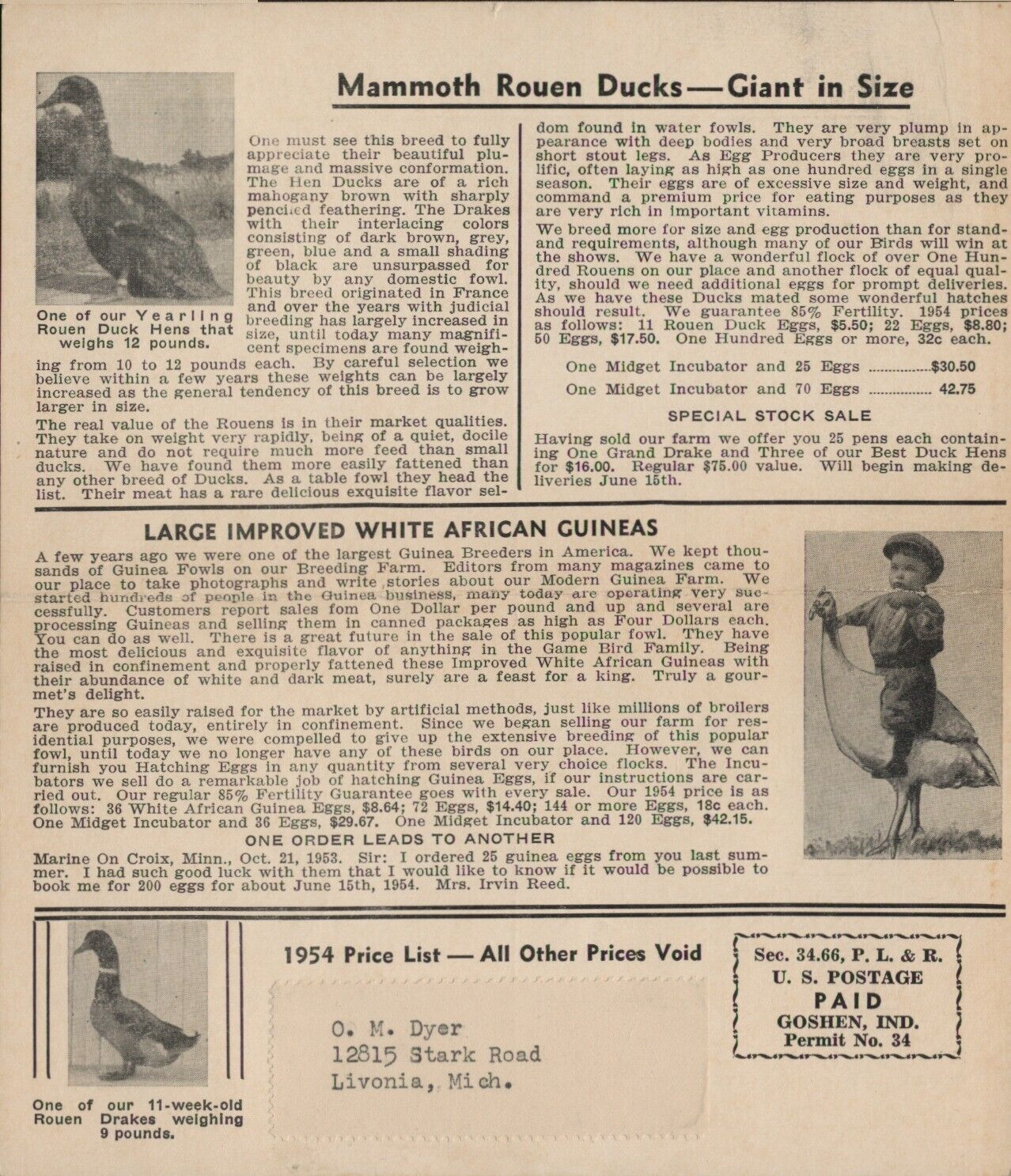 1954 Duck Price List Goshen Indiana Poultry Farm Mammoth Rouen Ducks African Gui
