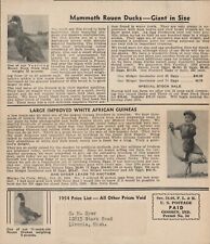 1954 Duck Price List Goshen Indiana Poultry Farm Mammoth Rouen Ducks African Gui picture