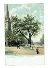 Harvard University The Washington Elm Postcard Cambridge Massachusetts MA picture