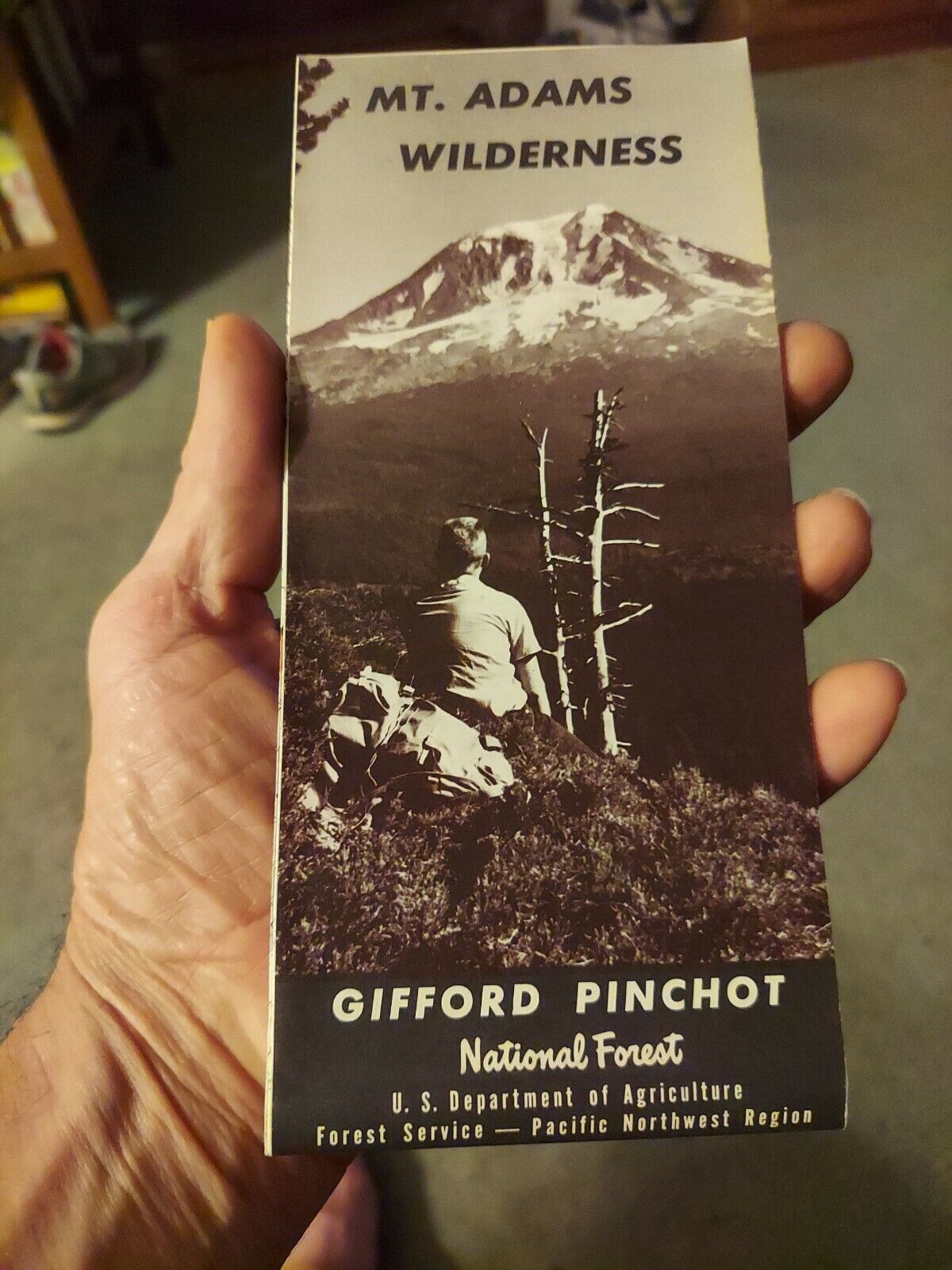 Gifford Pinchot National Forest Map WA Mt. Adams ,Pacific Northwest Region 1972