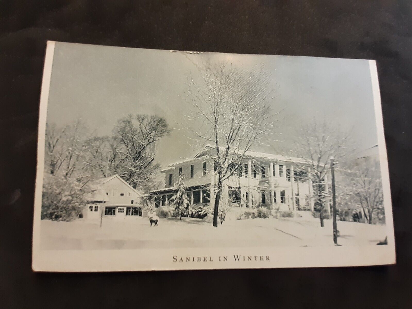 Middletown Connecticut Sanibel In Winter Postcard  1950s