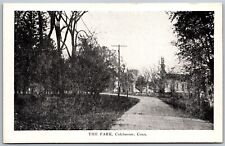 Vtg Colchester Connecticut CT The Park 1920s Old View Postcard picture