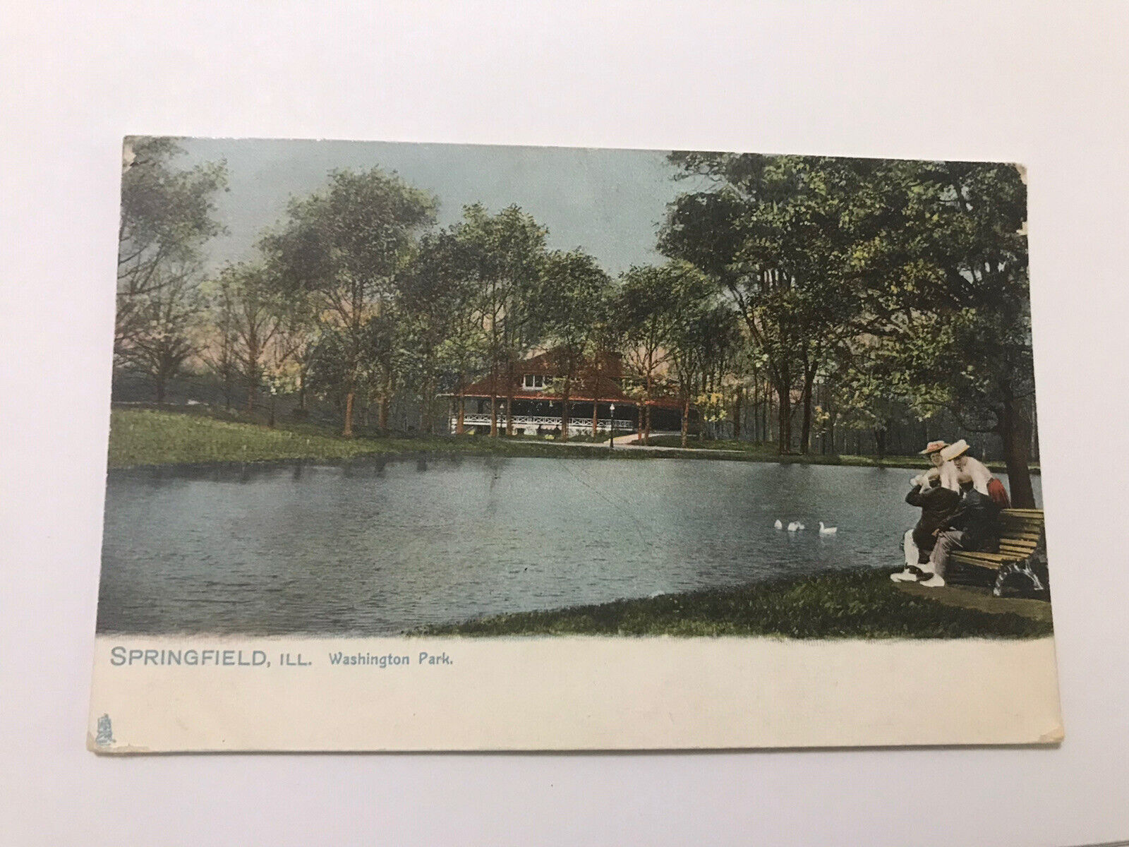 Washington Park Scene Springfield Illinois IL Postcard