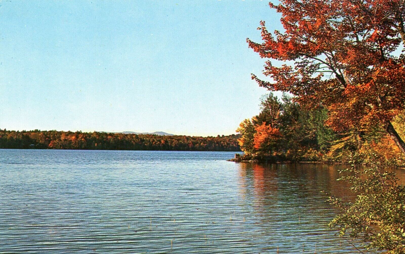 Hardwick Lake, Hardwick, Vermont --POSTCARD