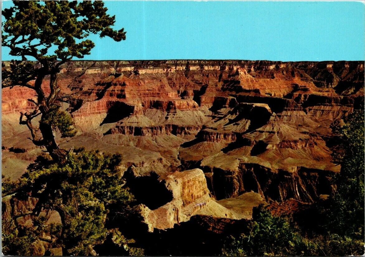 Vtg Colorado River Mohave Point Grand Canyon Arizona Postcard