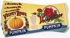 25 Velvet Rose Brand, Brighton, Iowa, Pumpkin Can Labels, Wholesale picture