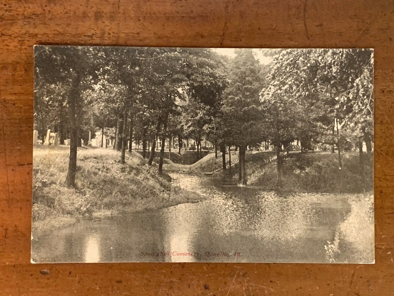 Illinois, Danville, Springhill Cemetery, PM 1908