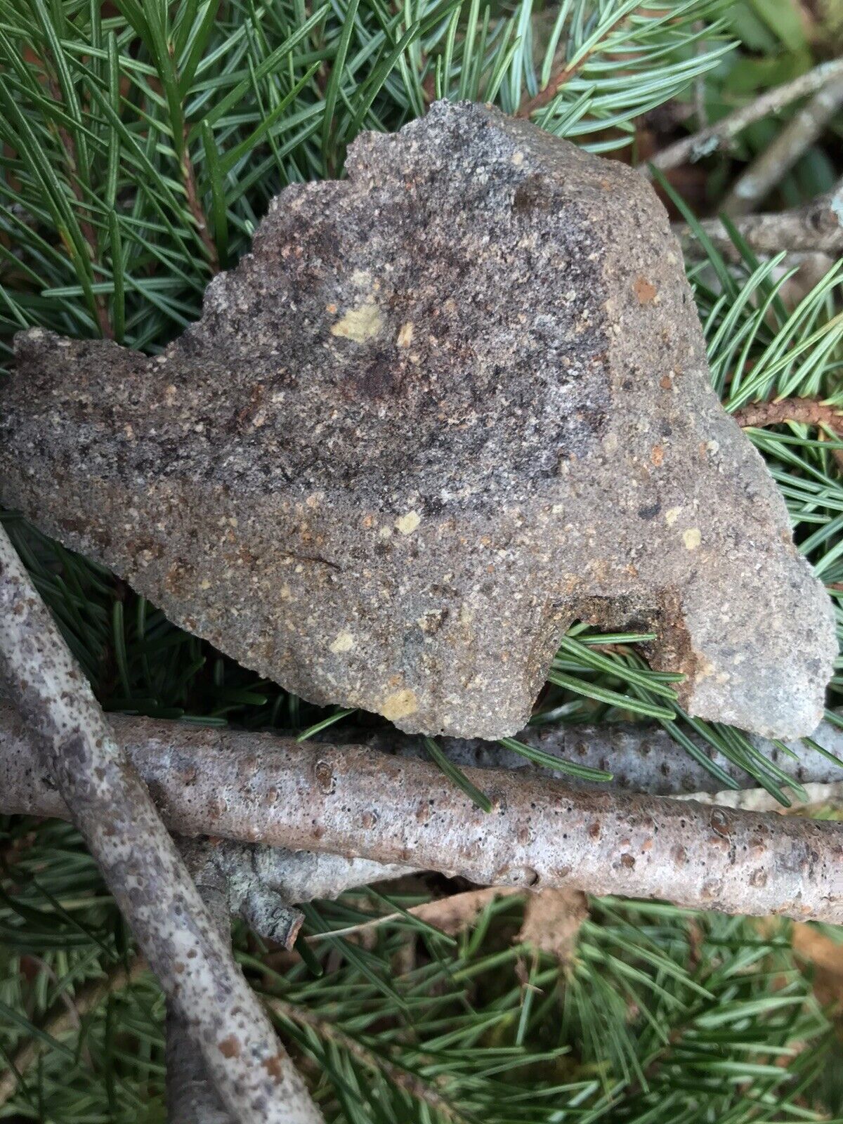Tisserlitine Lunar Meteorite Breccia Regolith Washington, USA w/ crust 59.27g