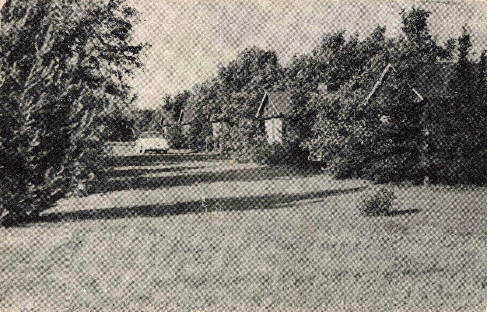 Pine Tree Log Cabins Plainfield Vermont VT 1952 Postcard
