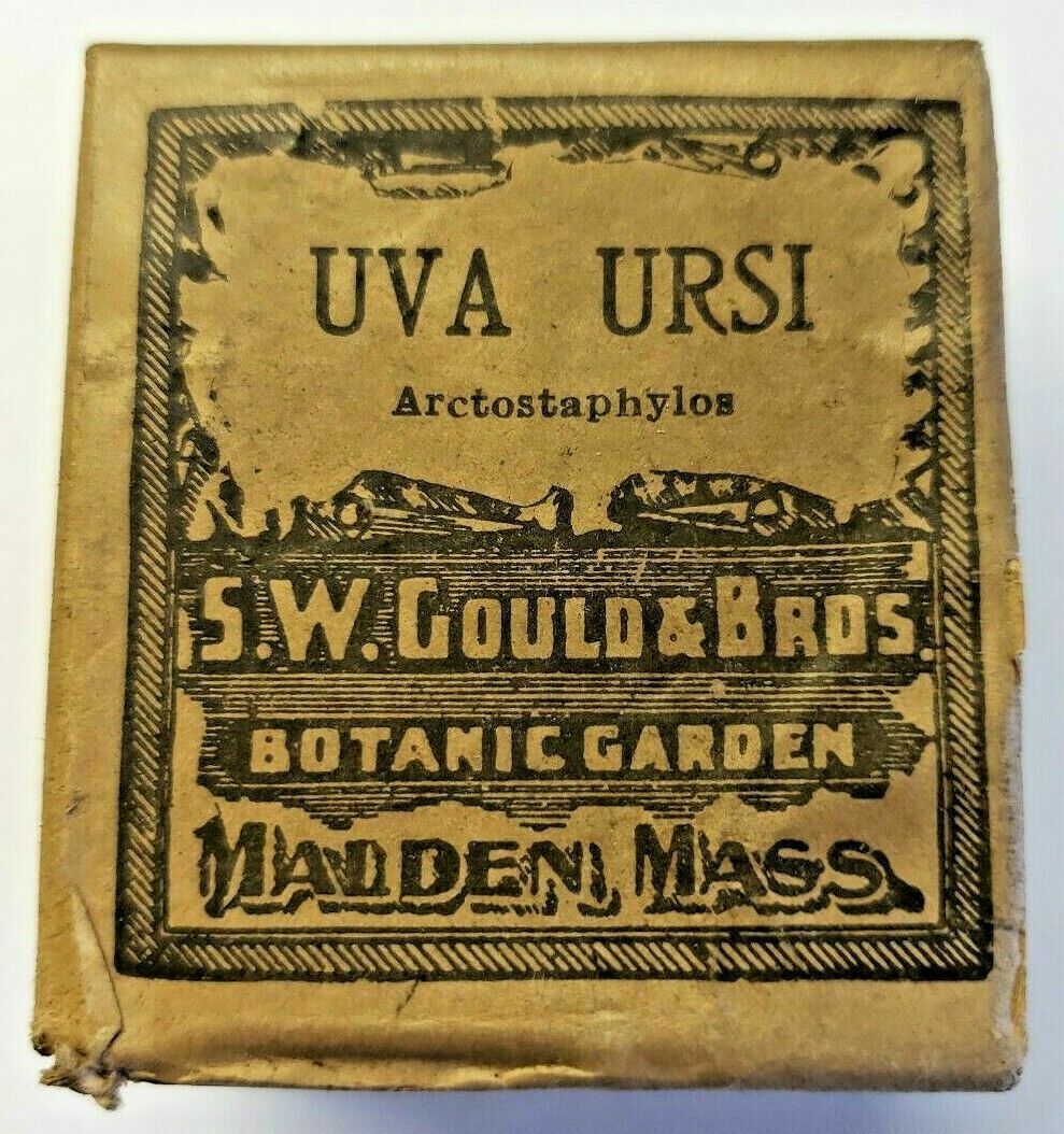Antique Display Box S.W. Gould & Bro UVA URIS Botanic Garden Madden, MA 23