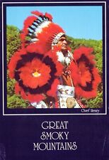 Indian Chief Henry Native American Great Smokey Mountains 4x6 Postcard picture