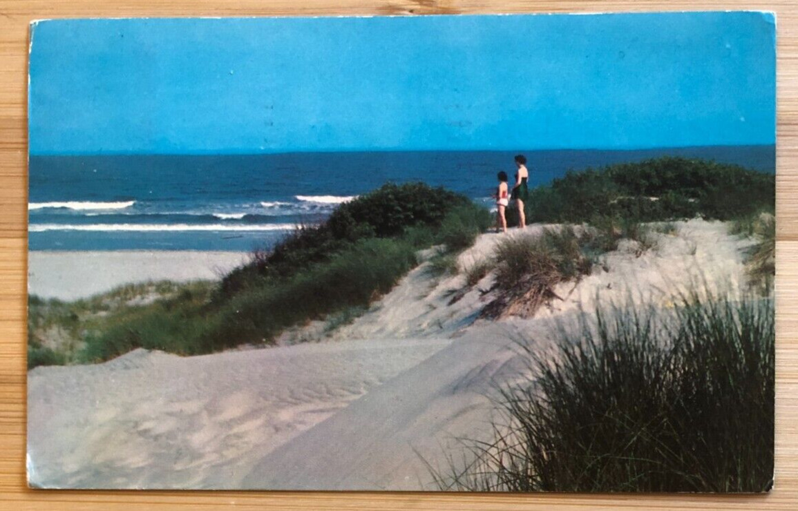 Vintage 1958 Greetings from Bar Harbor Maine Postcard Brookline MA Massachusetts