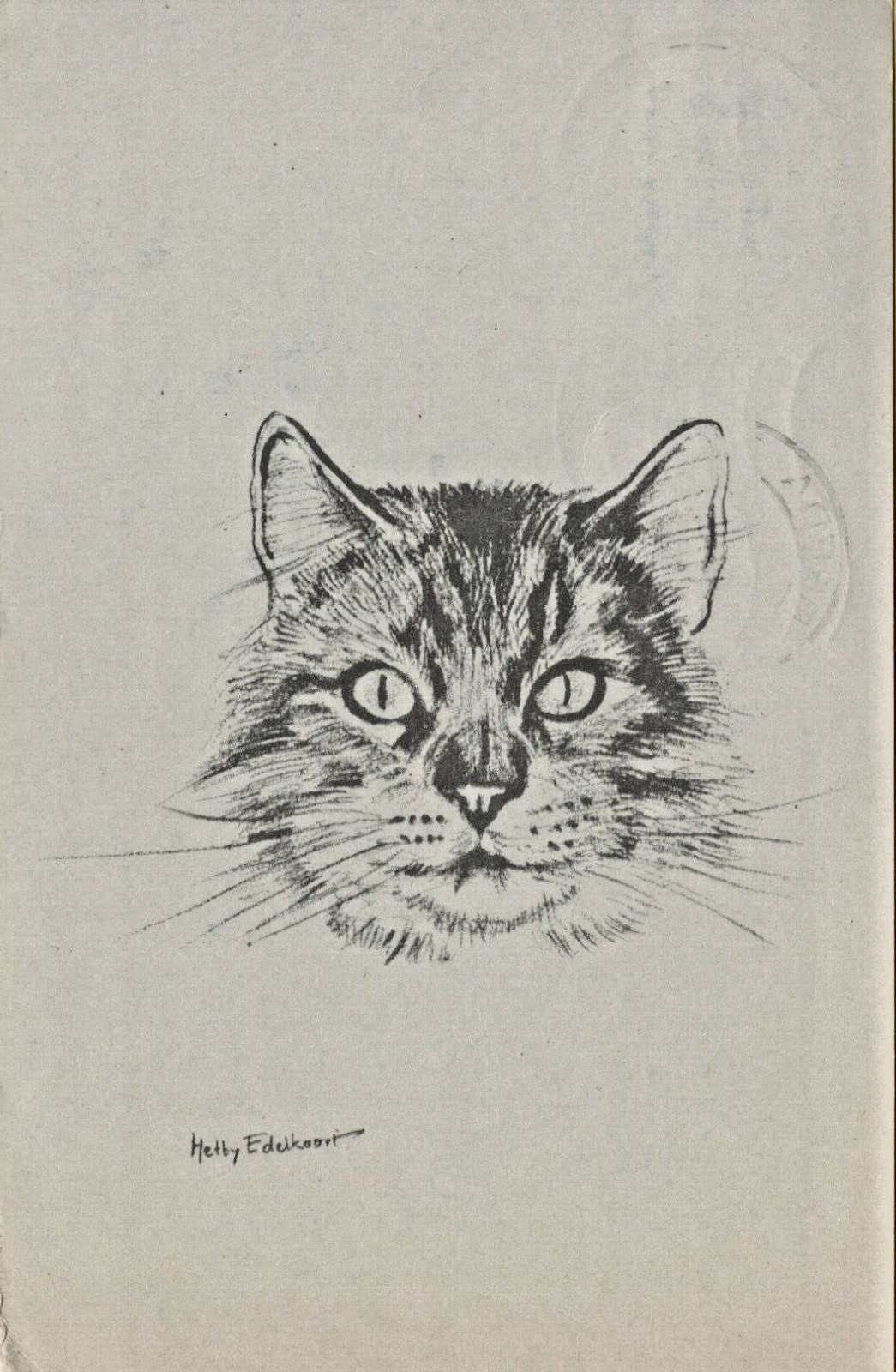 Vintage Postcard Cat Sketch Artist Signed Hetty Edelkoort Posted Netherlands