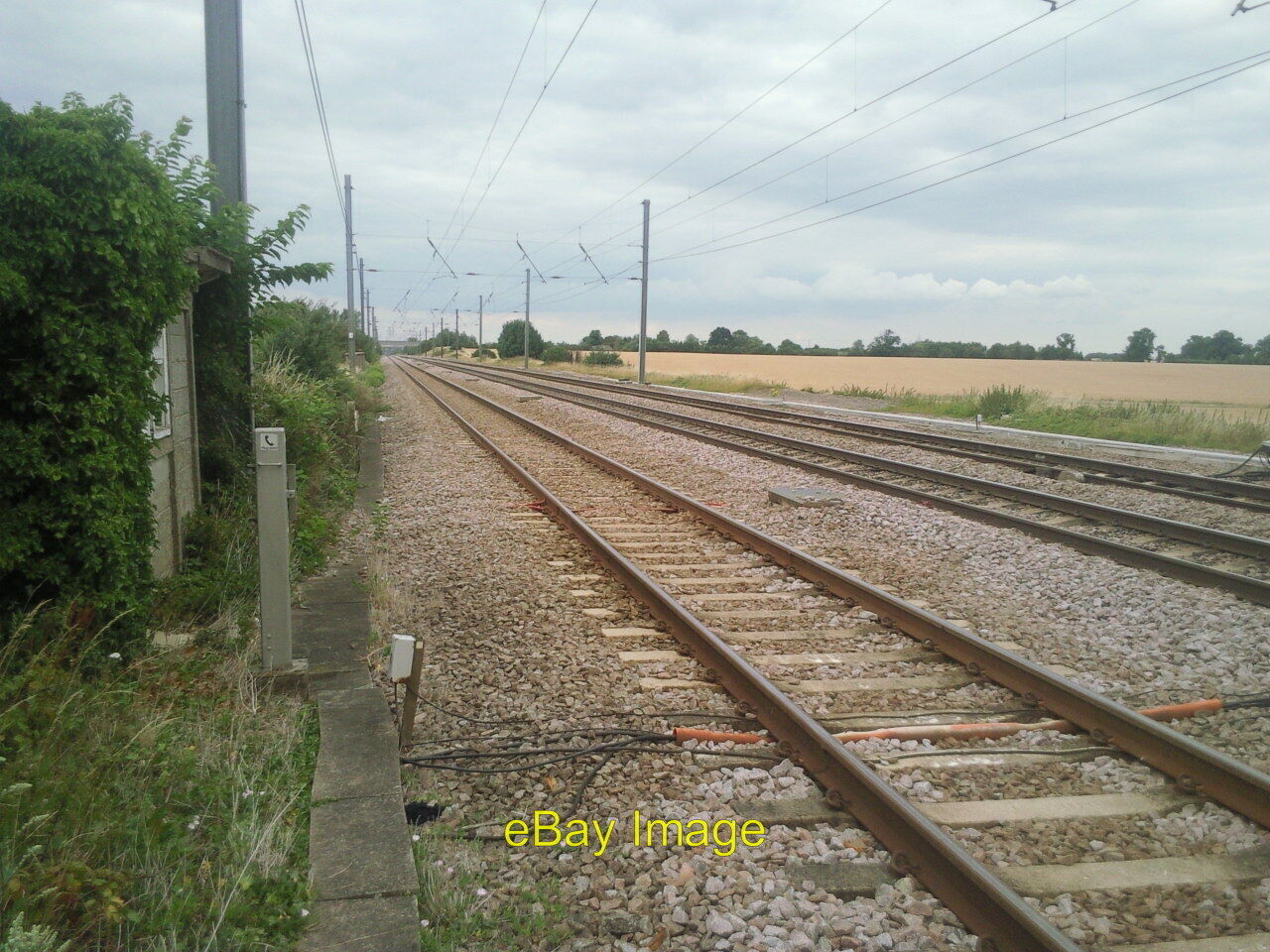 Photo 6x4 The track side at Abbotts Ripton The photograph illustrates how c2010