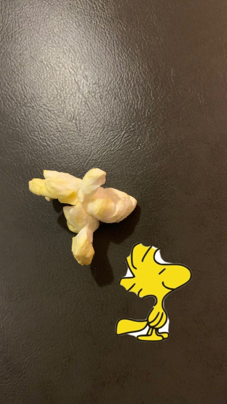 peanuts Woodstock Shaped Piece Of Popcorn