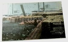 New Orleans Louisiana Cotton Wharf Steamer 1910 PC picture