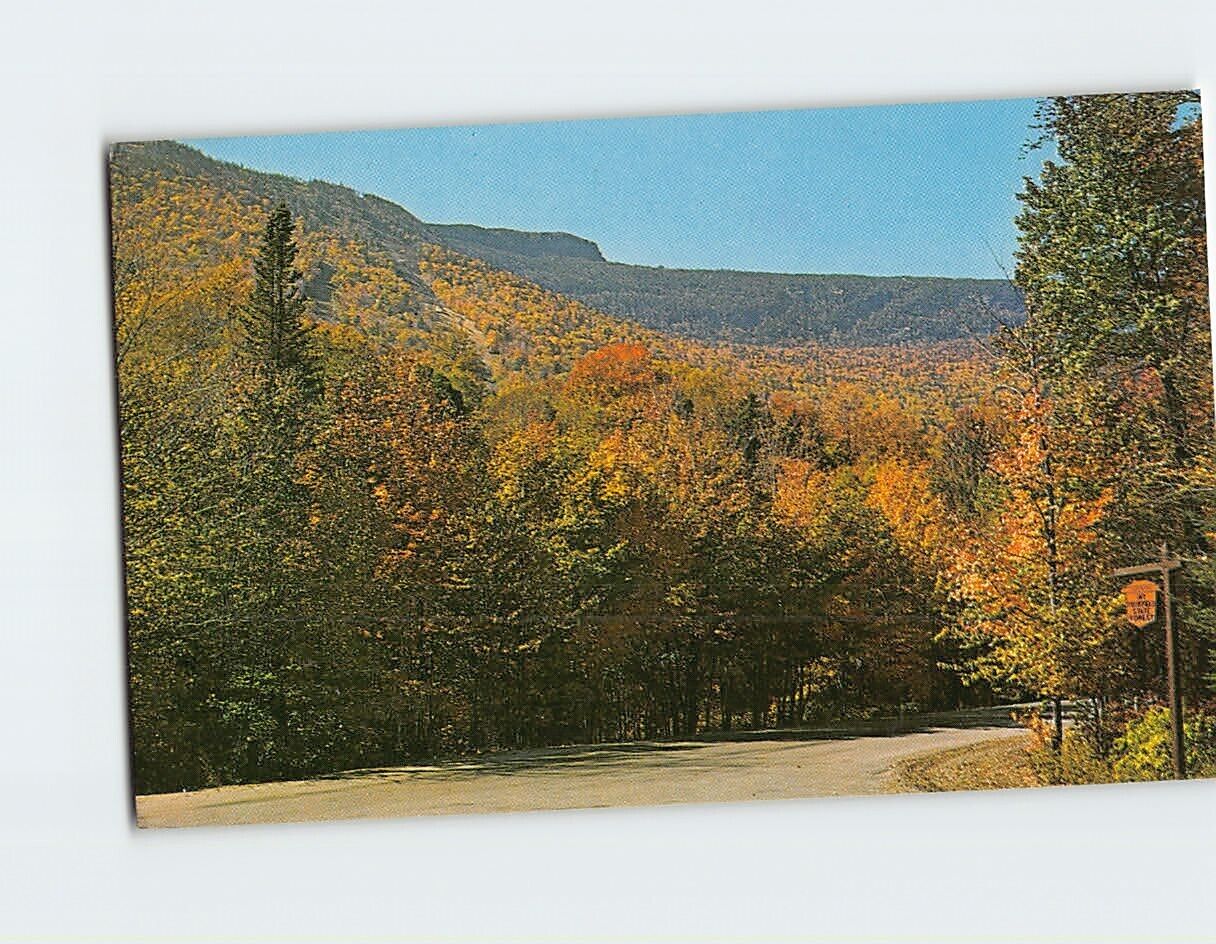 Postcard Mt. Mansfield Forest Park Stowe Vermont USA