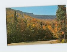 Postcard Mt. Mansfield Forest Park Stowe Vermont USA picture