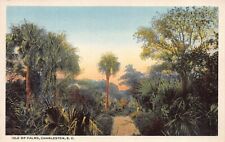 Postcard SC: Isle of Palms, Charleston, White Borders, Unposted picture