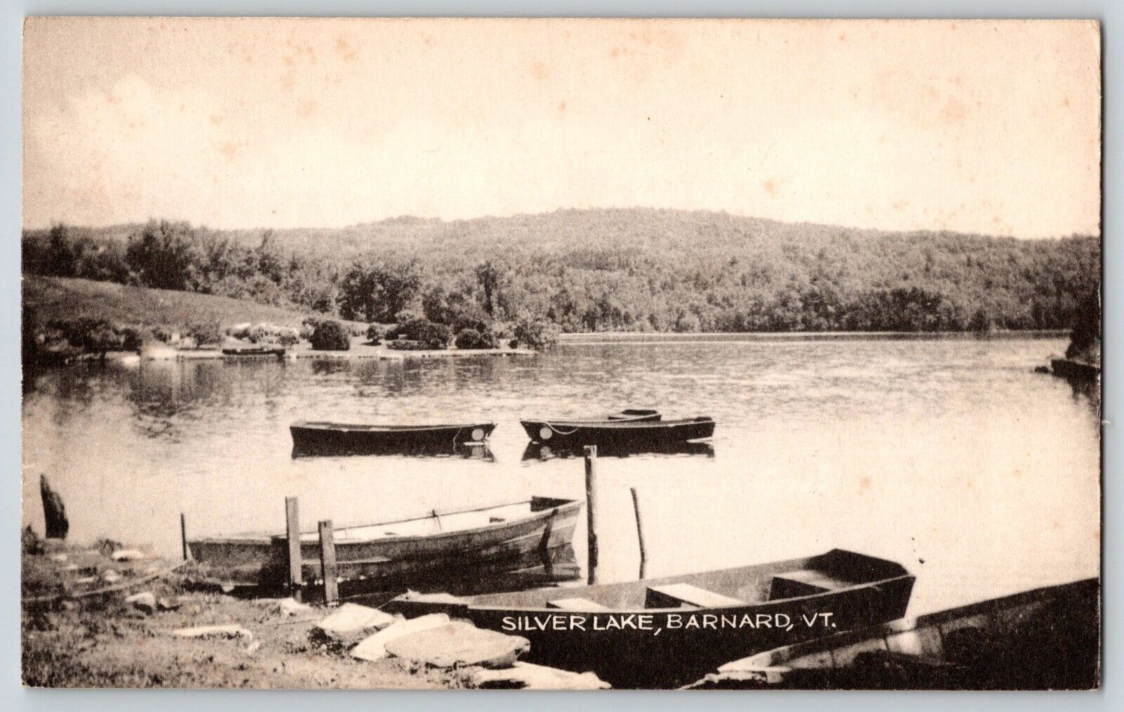 Postcard Silver Kale - Barnard Vermont