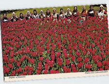 Postcard Display of Beauties, Sunken Gardens, Holland, Michigan picture
