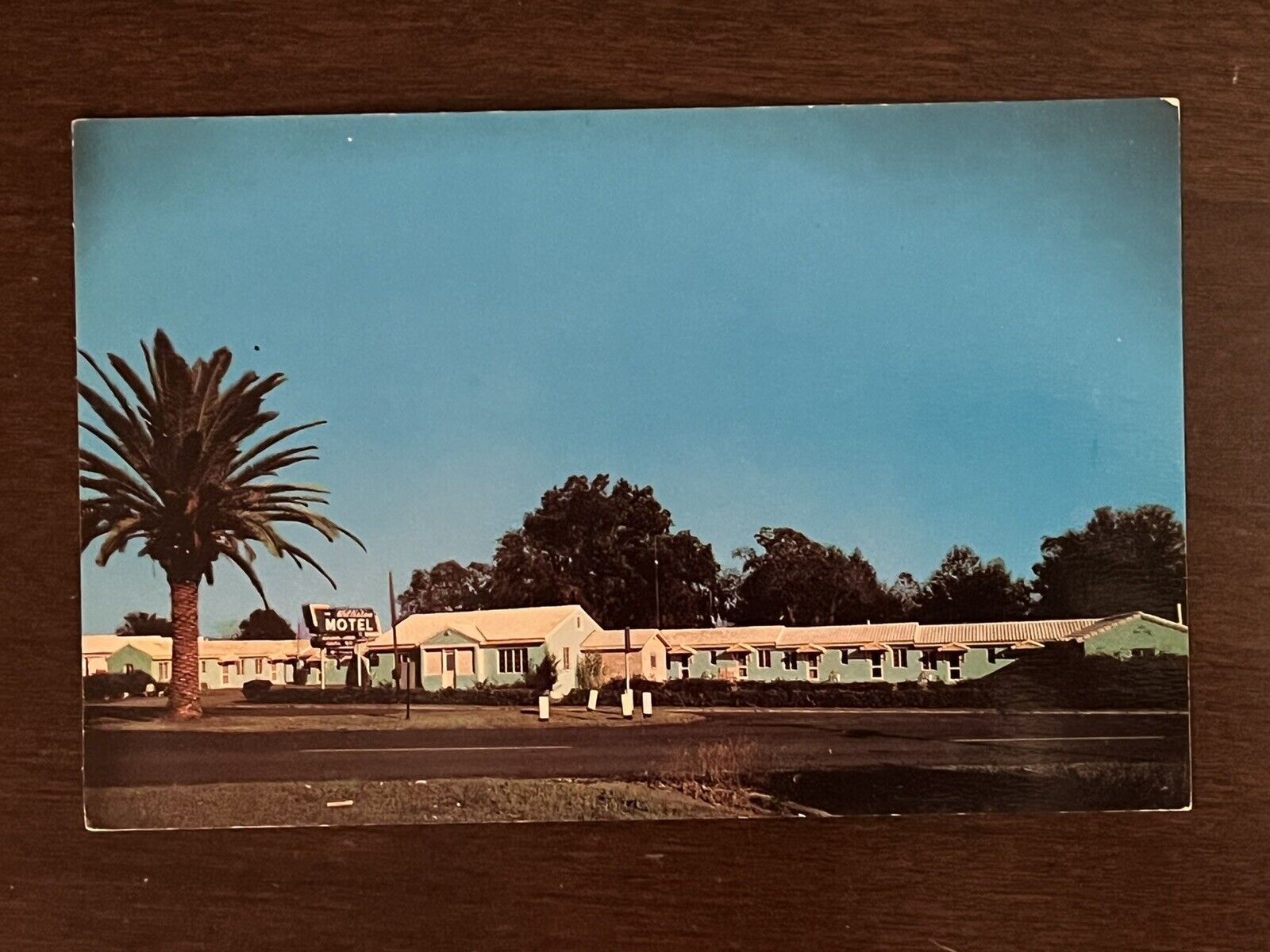 Williston Motel Florida Vintage Postcard Roadside America